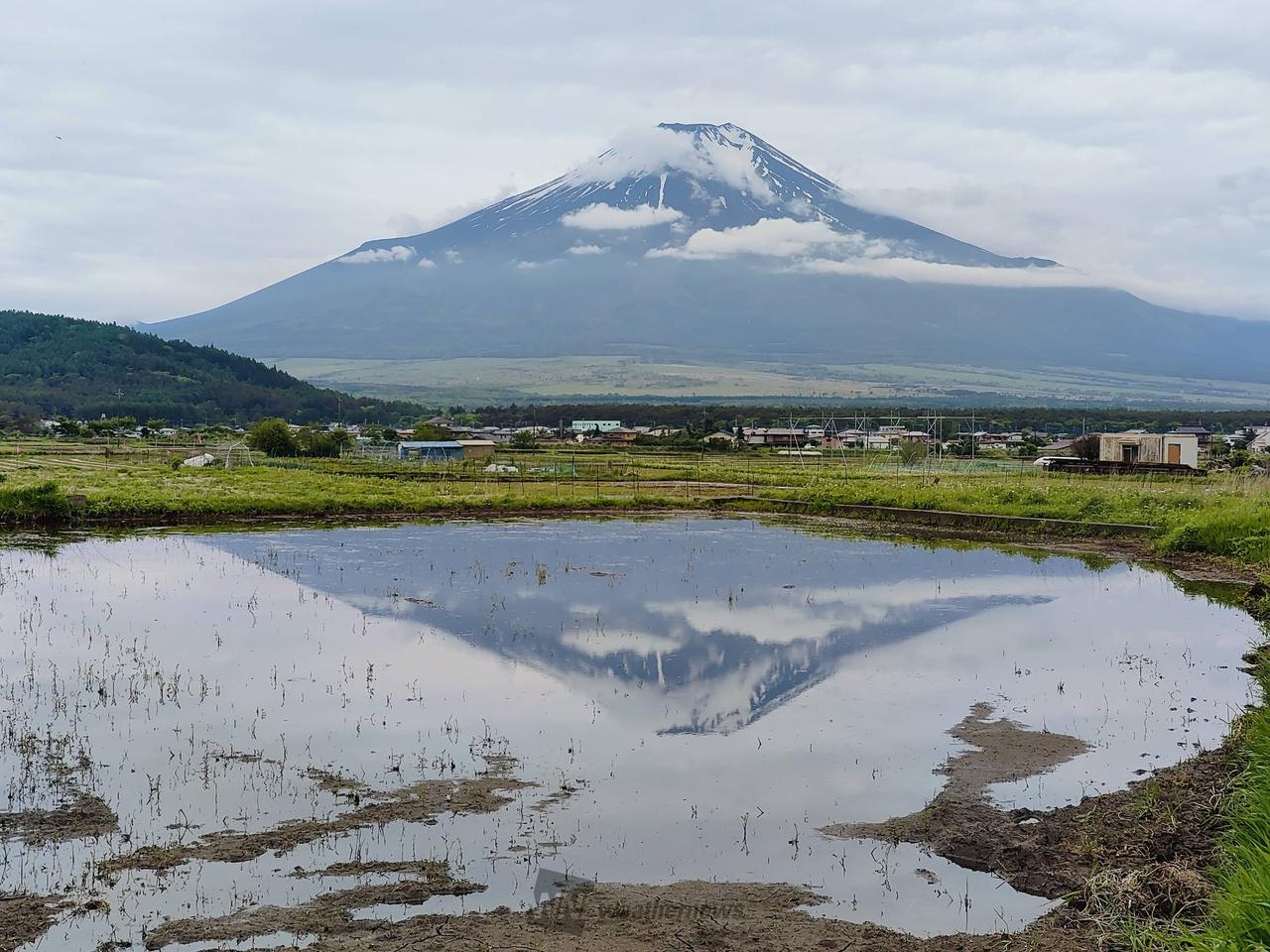 富士山と雲🗻☁️ 注目の空の写真 ウェザーニュース