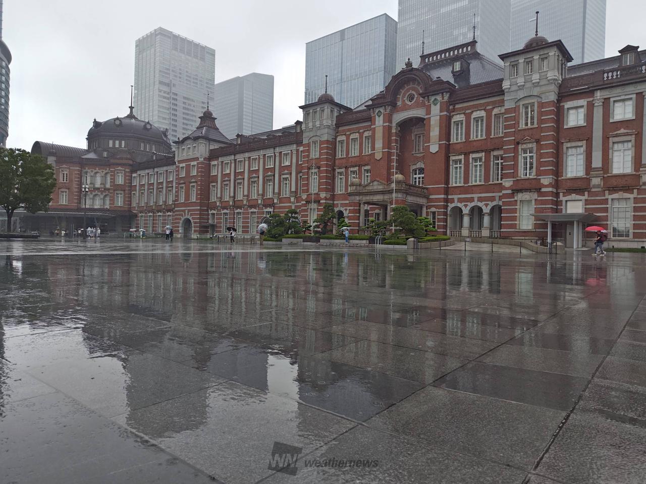 関東も梅雨入りです...