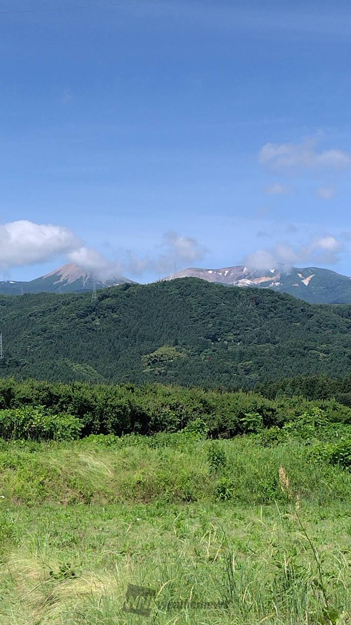 おはようございます...