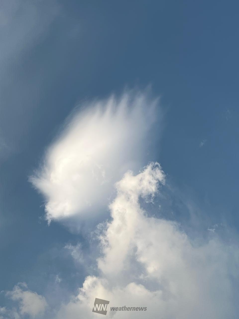 飛行機雲がくっきり 注目の空の写真 ウェザーニュース