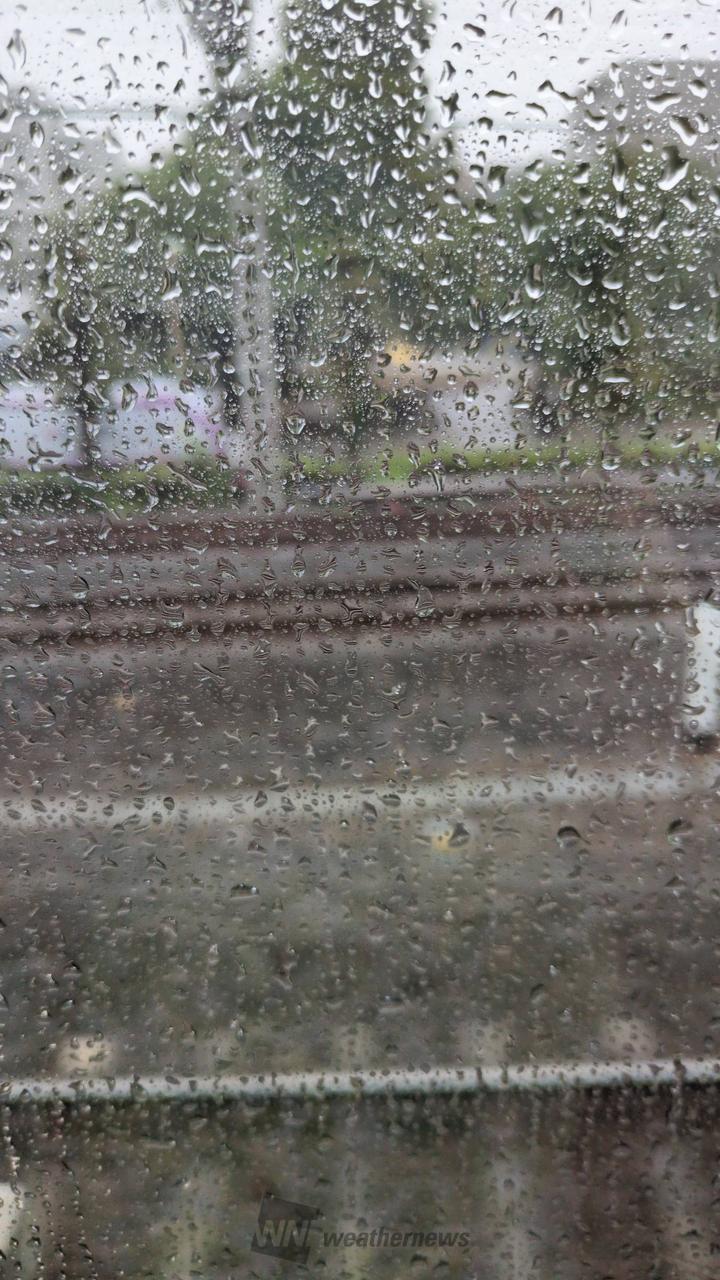 極めて激しい雨ざらし。 台風🌀15号の | 東京都大田区 | たけやんこ