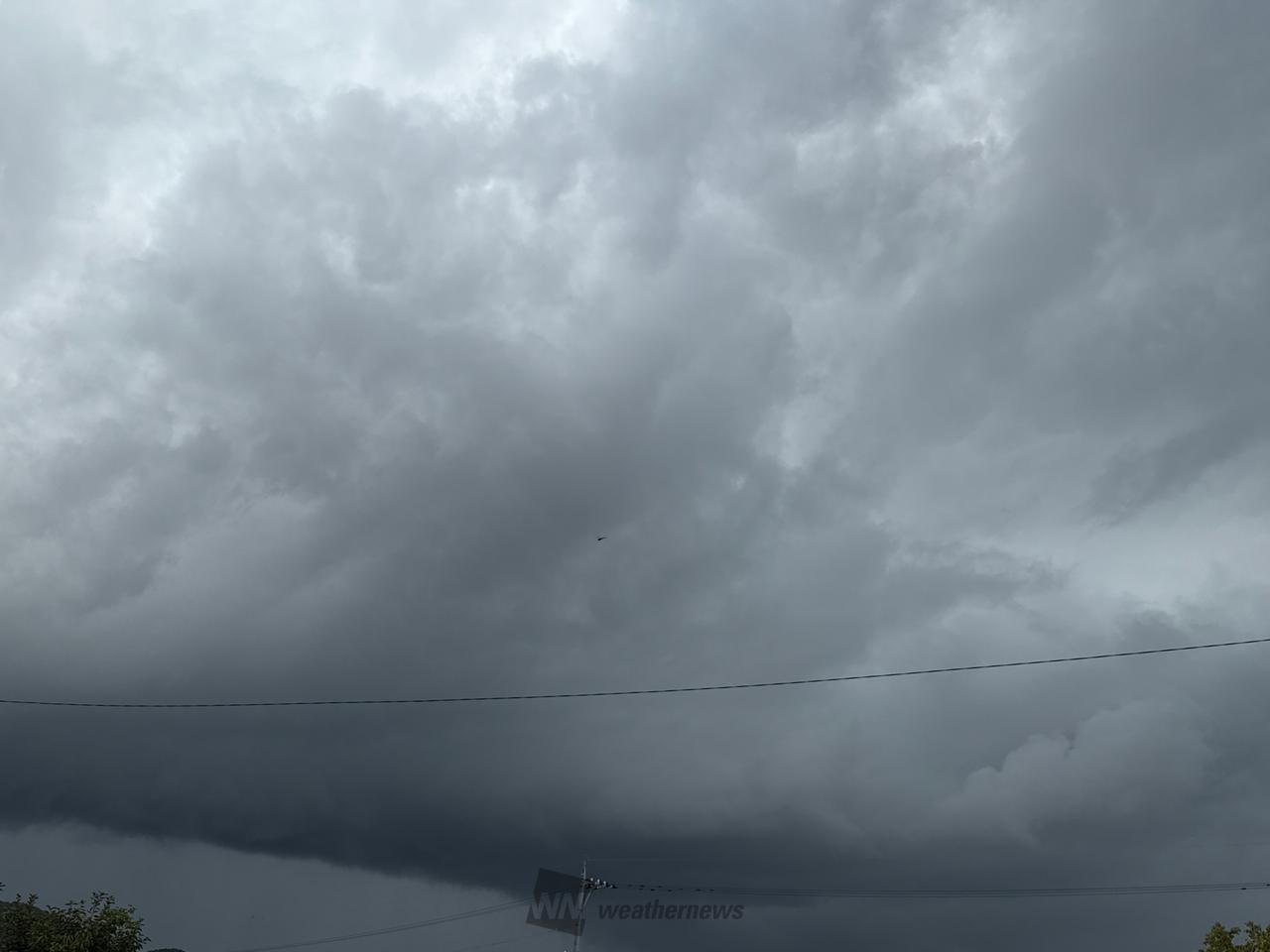 雲行きが怪しくなっ...