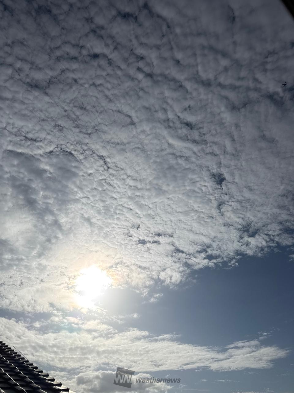 洒落雲様　ご確認用 ポコポコモコモコ秋の雲 注目の空の写真 ウェザーニュース