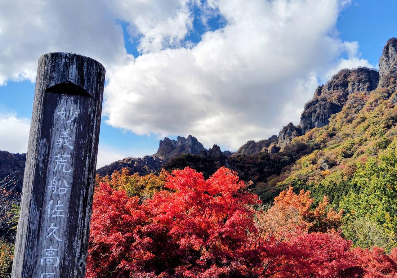 紅葉情報【2025】今見頃がわかる - ウェザーニュース