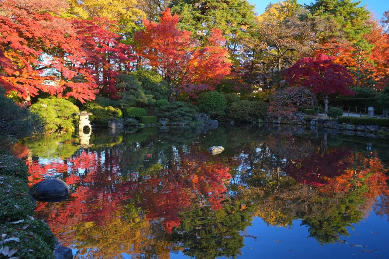 もみじ公園の紅葉情報【2025】 - ウェザーニュース