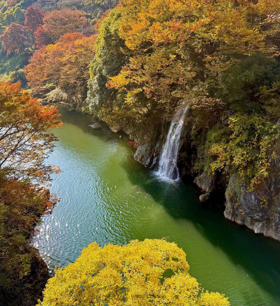 紅葉情報【2025】今見頃がわかる - ウェザーニュース