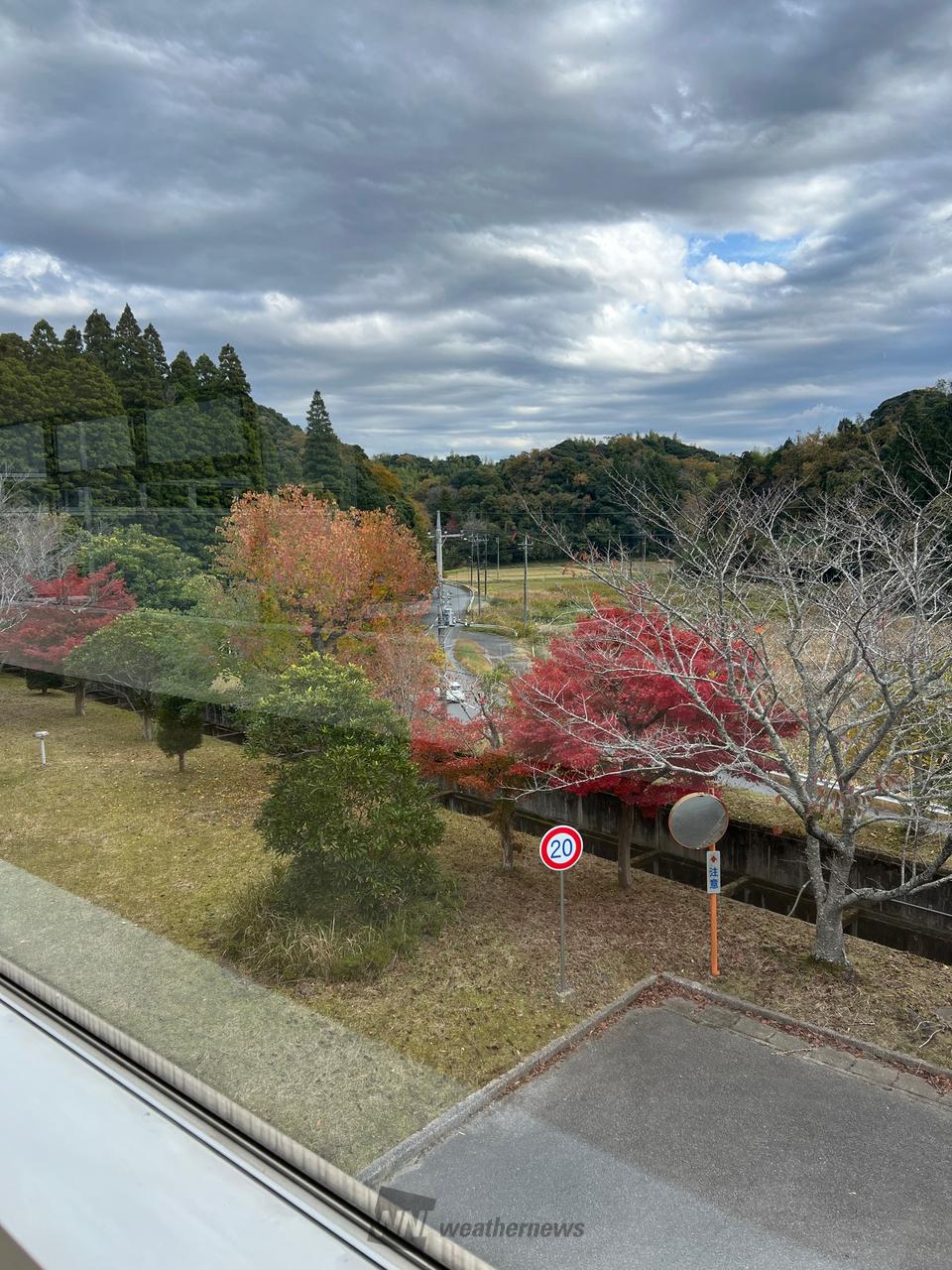 こんにちわ。今日わ、どんより雲☁️空です | 千葉県市原市 | チェリー