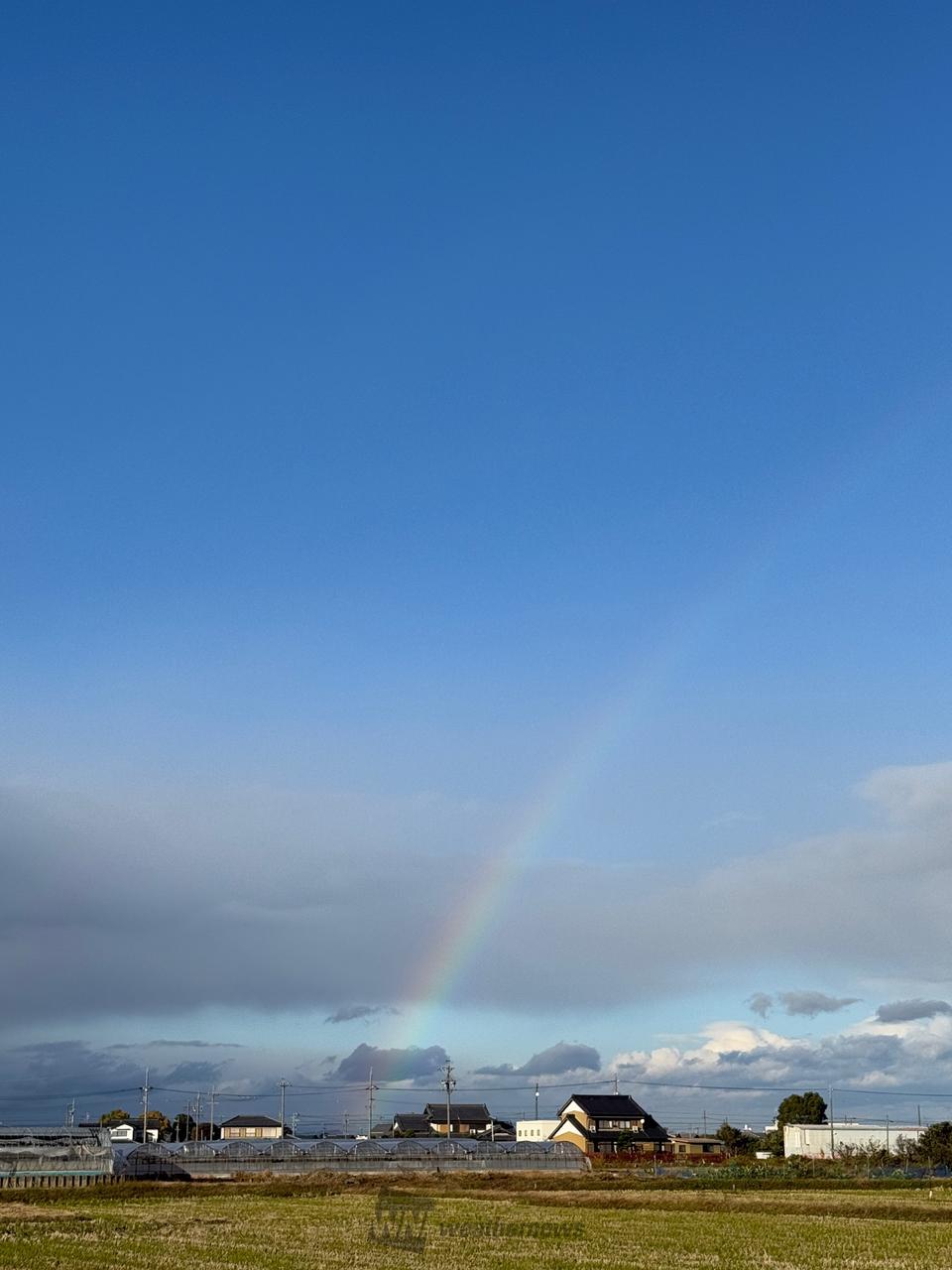天からは降る虹。
a4水彩アート紙 北東の空にうっすら 虹が見えます♪🌈 | 愛知県愛西市 | ダチョウ