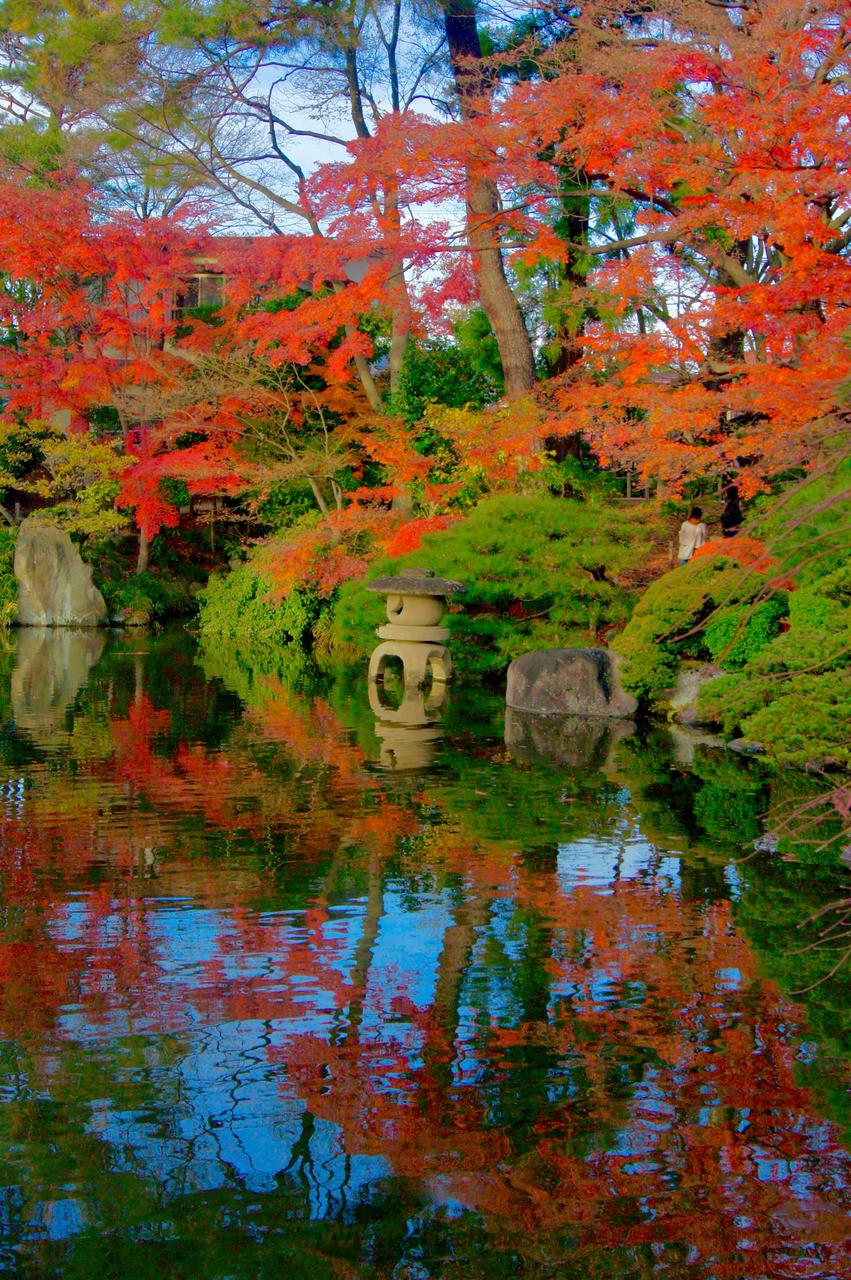 紅葉情報【2025】今見頃がわかる - ウェザーニュース