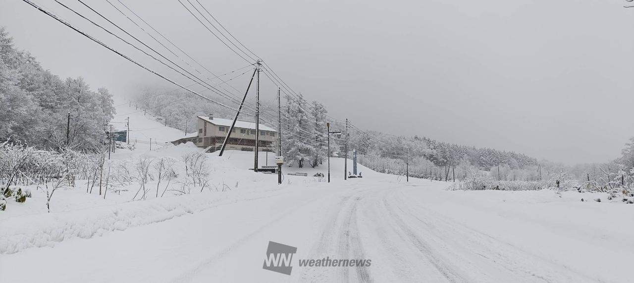 音威富士のリポート詳細｜ウェザーニュース