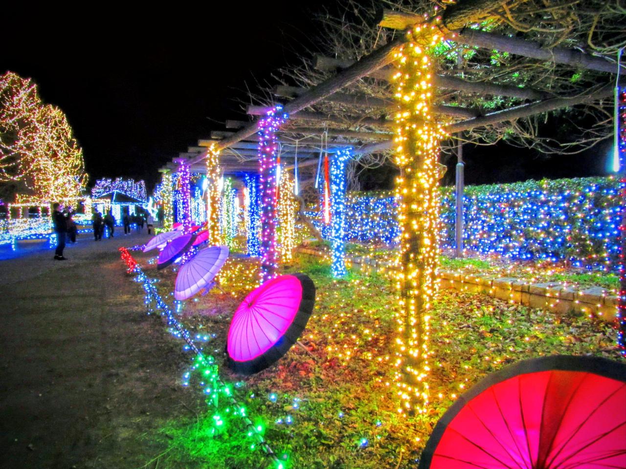 イルミ 和文化【鶴】の乱舞 伊豆高原グランイルミ～11thシーズン～