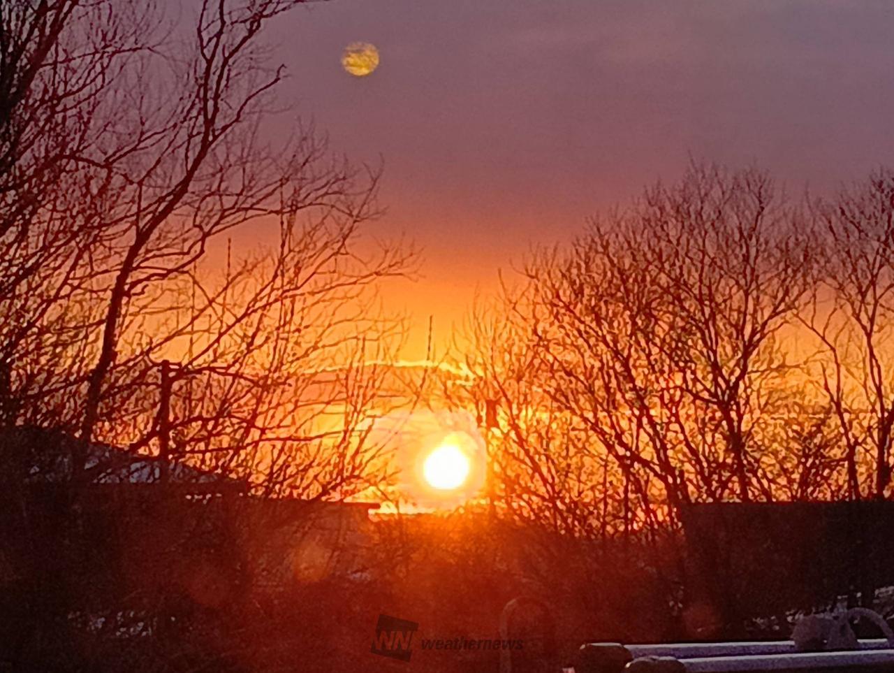 飛行機雲「X」出現 注目の空の写真 ウェザーニュース